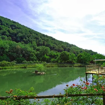 Sleeps 5 Pool Wifi * Figline Valdarno