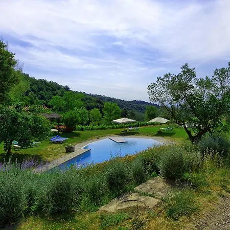 Sleeps 5 Pool Wifi *